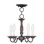 Williamsburgh Bronze 5-Light Convertible Mini Chandelier for Indoor/Outdoor