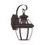 Bronze Brass 12.5" Outdoor Lantern with Clear Glass