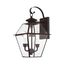 Charleston Elegance Bronze Outdoor Wall Lantern with Clear Beveled Glass