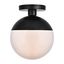 Black and Frosted White Globe Flush Mount Light