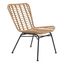 Lorena Modern High-Back Cane Side Chair in Natural Brown