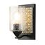 Matte Black and Silver 1-Light Wall Sconce with Clear Glass