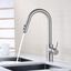 Brushed Nickel Single Handle Pull Down Kitchen Faucet