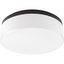 Maier 14" Brushed Nickel LED Flush Mount with Opal Acrylic Shade