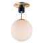 Satin Brass and Black Globe Ceiling Light with Glass Shade