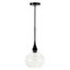 Matte Black Glass Teardrop Pendant Light with Adjustable Cord