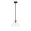 Matte Black Glass 11" Pendant Light