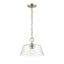 Caily 11.5" Brushed Nickel Pendant Light with Clear Glass Shade