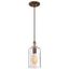 Carmen Barnwood Finish Mini Pendant with Clear Textured Glass