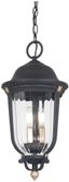 Peale Street 20" Sand Coal and Gold Outdoor Hanging Light