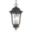 Peale Street Black and Gold 4-Light Outdoor Hanging Lantern