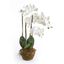 30" White Handcrafted Phalaenopsis Orchid in Decorative Pot