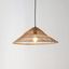 Nova 20.25" Brown Rattan Cone-Shaped LED Pendant Light with 180" Cord