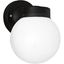 Black 6.5" Dimmable Glass Globe Outdoor Wall Lantern