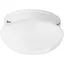 White Glass 9" Indoor/Outdoor Bowl Ceiling Light