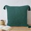 Green Cotton 20" x 20" Throw Pillow with Tassels