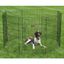 Black Metal 24'' Exercise Dog Pen with Door