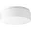 White Glass LED Drum Flush Mount Light