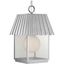 Galvanized Finish Glass Globe Outdoor Pendant Light