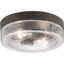 Weldon Bronze 2-Light Clear Seeded Glass Flush Mount