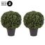 Set of Two 21-Inch Green Plastic Boxwood Topiary Plants