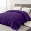 Queen Size Purple Microfiber All-Season Comforter Duvet Insert