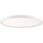 Fresco White Glass LED Indoor/Outdoor Flush Mount Light