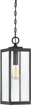 Earth Black 20.75" Sleek Outdoor Hanging Lantern with Clear Glass