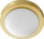 Aged Brass Satin Opal Glass Indoor/Outdoor Flush Mount Light