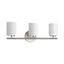 Brushed Nickel 3-Light Dimmable Bath Vanity Fixture