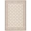 Multicolor Rectangular Synthetic Stain-Resistant Indoor/Outdoor Rug