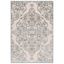 Gray and Multi Viscose Chenille Area Rug 2'7" x 4'