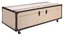 Golden Age Inspired 51" Wood & Metal Coffee Table Trunk with Storage