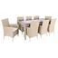 Hailee Beige Wicker 8-Person Outdoor Dining Set with Cushions