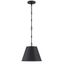 Alden Matte Black Bowl Pendant Light with Nickel Accents