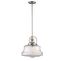 Transitional Polished Nickel Pendant with Clear Glass Shade