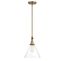 Drake Warm Brass Adjustable Pendant Light with Clear Glass Shade