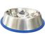 Small Stainless Steel Slow Feed Dog Bowl with Blue Silicone Base