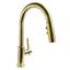 Aged Brass Single Handle Pull-Down Kitchen Faucet