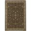 Ariana Brown and Ivory 4' x 6' Oriental Area Rug