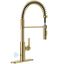 Brushed Gold Stainless Steel Touchless Pull-Down Kitchen Faucet