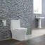 Elongated High-Efficiency Dual-Flush Free-Standing Toilet in White