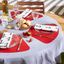 Tango Red Vinyl Wedge Table Placemats, Set of 6