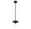 Matte Black Mini Pendant Light with Adjustable Height