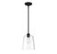 Templeton Matte Black Pendant Light with Clear Glass Shade