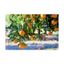 Vibrant Citrus Oranges Gallery-Wrapped Canvas Art