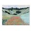 Monet Poppy Field Near Giverny 24x32 Framed Canvas Art