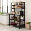 Black 5-Tier Wood Kitchen Storage Rack with Spice Organizer