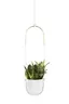 White Ceramic Bowl-Shaped Hanging Planter