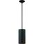 Black Aluminum 12" Modern Indoor/Outdoor Cylinder Pendant